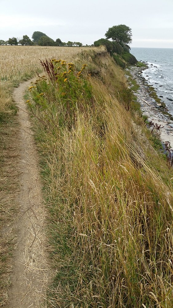 Sterben ist ein Teil des Lebens September 2016